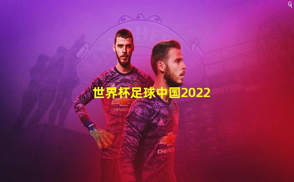 世界杯足球中国2022